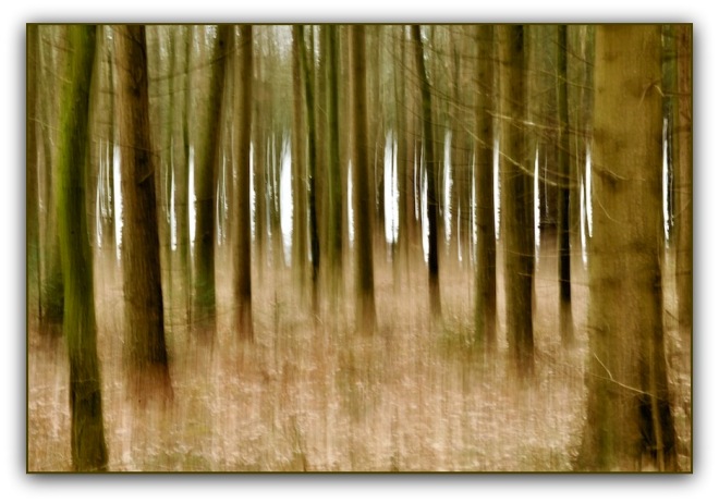 Magischer Wald, wie gemalt, Wischtechnik, Nordfriesland