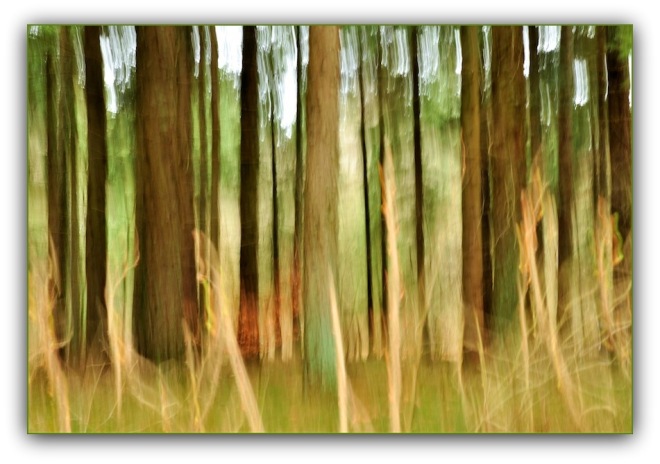 Magischer Wald, wie gemalt, Wischtechnik, Nordfriesland